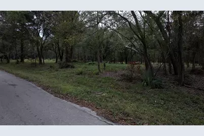 1634 Sunrise Trail, Houston, TX 77339 - Photo 3