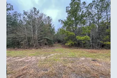 4 Rec Road 255, Colmesneil, TX 75938 - Photo 9