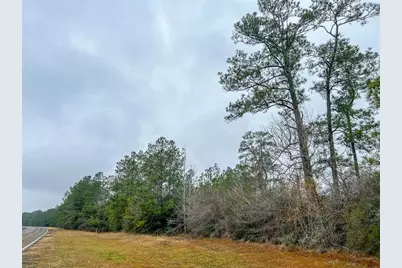4 Rec Road 255, Colmesneil, TX 75938 - Photo 5
