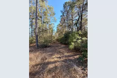 Tbd Copperleaf Rd, Huntsville, TX 77340 - Photo 9