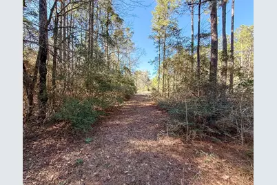 Tbd Copperleaf Rd, Huntsville, TX 77340 - Photo 5