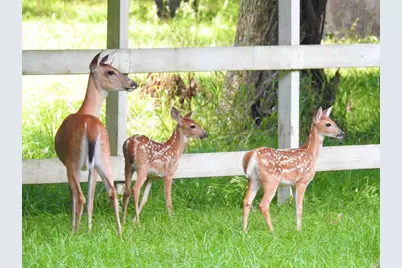 152 Pine Ridge Drive, Cleveland, TX 77327 - Photo 3