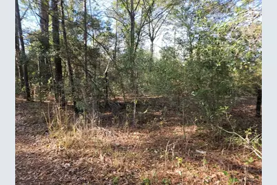 0000 Pinecone Ln Lane, Plantersville, TX 77363 - Photo 5