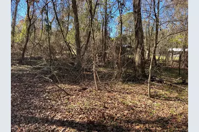 1702 E Bembridge Drive, Spring, TX 77386 - Photo 11