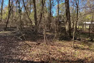 1702 E Bembridge Dr, Spring, TX 77386 - Photo 11