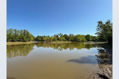 33.8+/- Acres N Hwy 36, Milano, TX 76556 - Photo 7