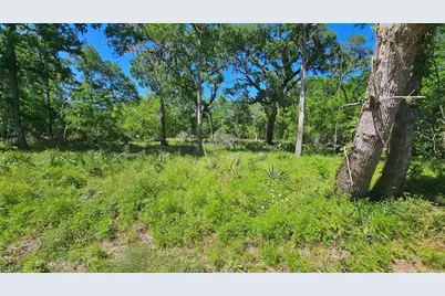 248 Middle Bayou Trail, Angleton, TX 77515 - Photo 7