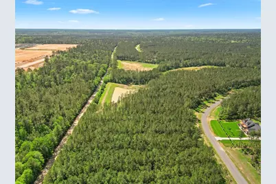 15297 Forest Grove Drive, Willis, TX 77378 - Photo 9