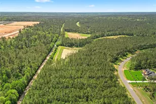 15297 Frst Grv Dr, Willis, TX 77378 - Photo 9