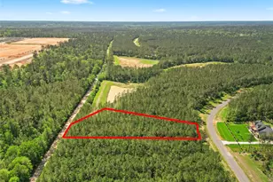 15297 Frst Grv Dr, Willis, TX 77378 - Photo 3