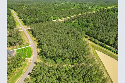 15297 Forest Grove Drive, Willis, TX 77378 - Photo 11