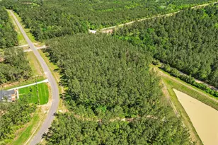 15297 Frst Grv Dr, Willis, TX 77378 - Photo 11