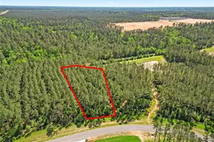 15297 Frst Grv Dr, Willis, TX 77378 - Photo 1