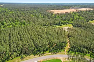 15297 Frst Grv Dr, Willis, TX 77378 - Photo 7