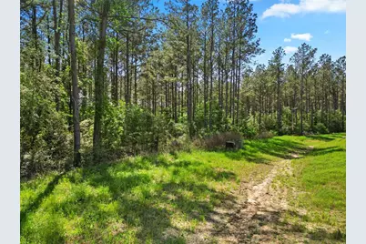 15297 Forest Grove Drive, Willis, TX 77378 - Photo 5