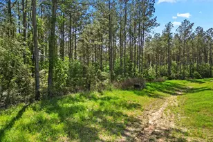 15297 Frst Grv Dr, Willis, TX 77378 - Photo 5