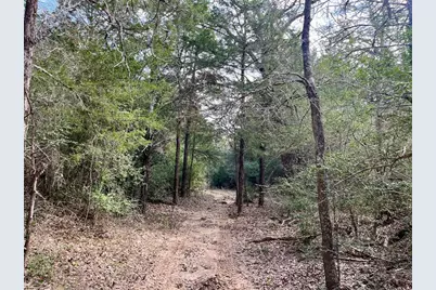 2330 Old Lockhart Road, West Point, TX 78963 - Photo 15