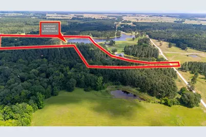 1950 Buckhorn Creek Dr, Crockett, TX 75904 - Photo 5