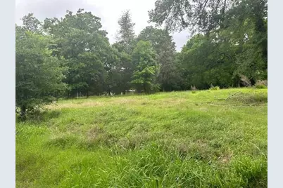 516 Falcon Drive, Trinity, TX 75862 - Photo 5