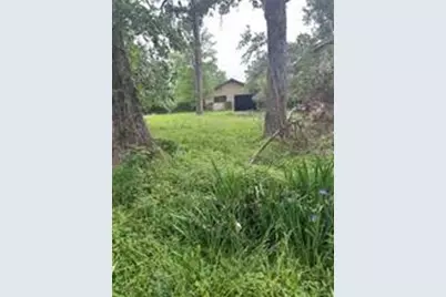 516 Falcon Drive, Trinity, TX 75862 - Photo 3