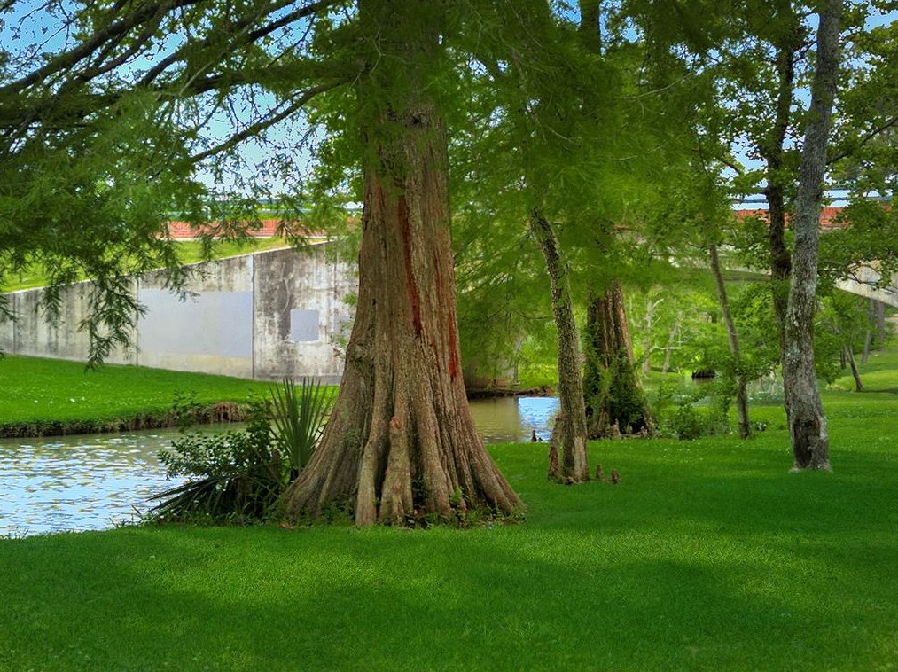 13527 Delwood Spg Ln, Houston TX  77044-1378 exterior