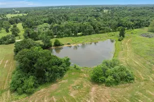 Tbd Lcr 707, Kosse, TX 76653 - Photo 3