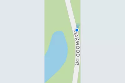 Tbd Live Oak Drive, Plantersville, TX 77363 - Photo 3