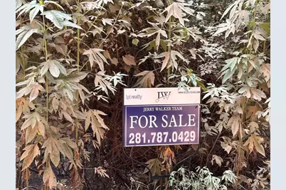 Tbd Live Oak Drive, Plantersville, TX 77363 - Photo 13