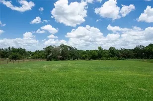 1430 Bluebonnet Ridge Dr, Chappell Hill, TX 77426 - Photo 39