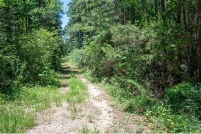 Tbd Cr  3000, Woodville, TX 75979 - Photo 3