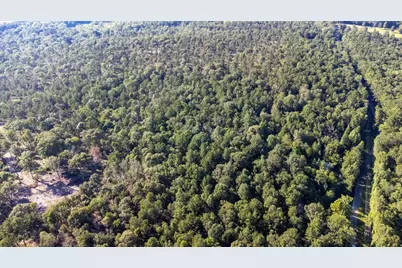 Tbd Cr  3000, Woodville, TX 75979 - Photo 9