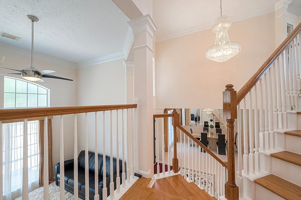 12315 Shadow Cv Dr, Houston TX  77082-2502 exterior