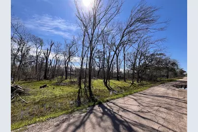 Tbd Penguin Lane, Holiday Lakes, TX 77515 - Photo 7