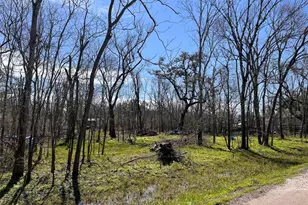 Tbd Penguin Ln, Holiday Lakes, TX 77515 - Photo 1