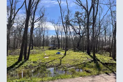 Tbd Penguin Lane, Holiday Lakes, TX 77515 - Photo 3