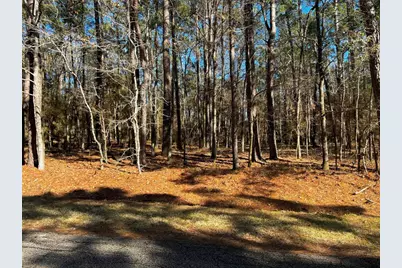 55 Green Tree Drive, Coldspring, TX 77331 - Photo 1