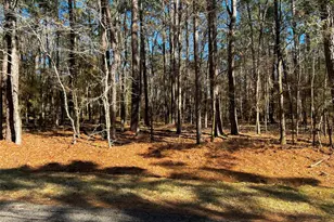 55 Green Tree Dr, Coldspring, TX 77331 - Photo 1