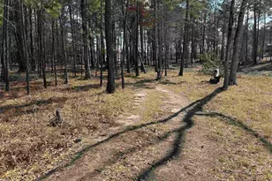 013 Private Road 6028, Brookeland, TX 75931 - Photo 1