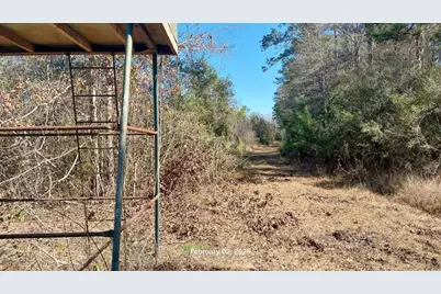 0 Chambers Road, Zavalla, TX 75980 - Photo 3