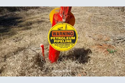 0 Chambers Road, Zavalla, TX 75980 - Photo 11