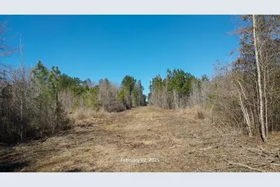 0 Chambers Road, Zavalla, TX 75980 - Photo 1