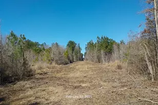 0 Chambers Rd, Zavalla, TX 75980 - Photo 1