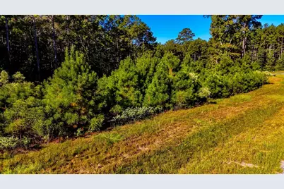 018 Red Hawk Road, Huntsville, TX 77340 - Photo 7