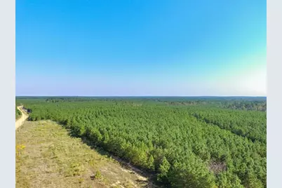 290 Red Hollow, Livingston, TX 77351 - Photo 25