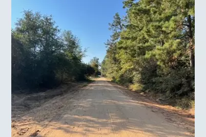 290 Red Hollow, Livingston, TX 77351 - Photo 19