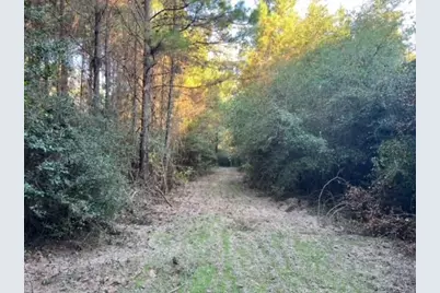 290 Red Hollow, Livingston, TX 77351 - Photo 15