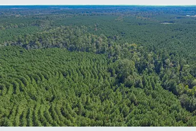 290 Red Hollow, Livingston, TX 77351 - Photo 29