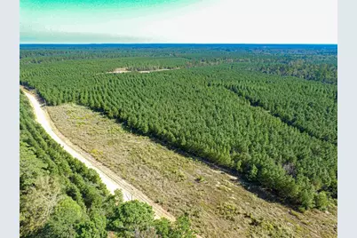 290 Red Hollow, Livingston, TX 77351 - Photo 27
