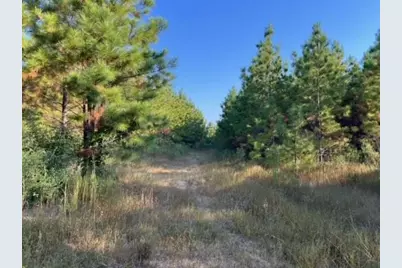 290 Red Hollow, Livingston, TX 77351 - Photo 1