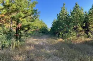 290 Red Hollow, Livingston, TX 77351 - Photo 1